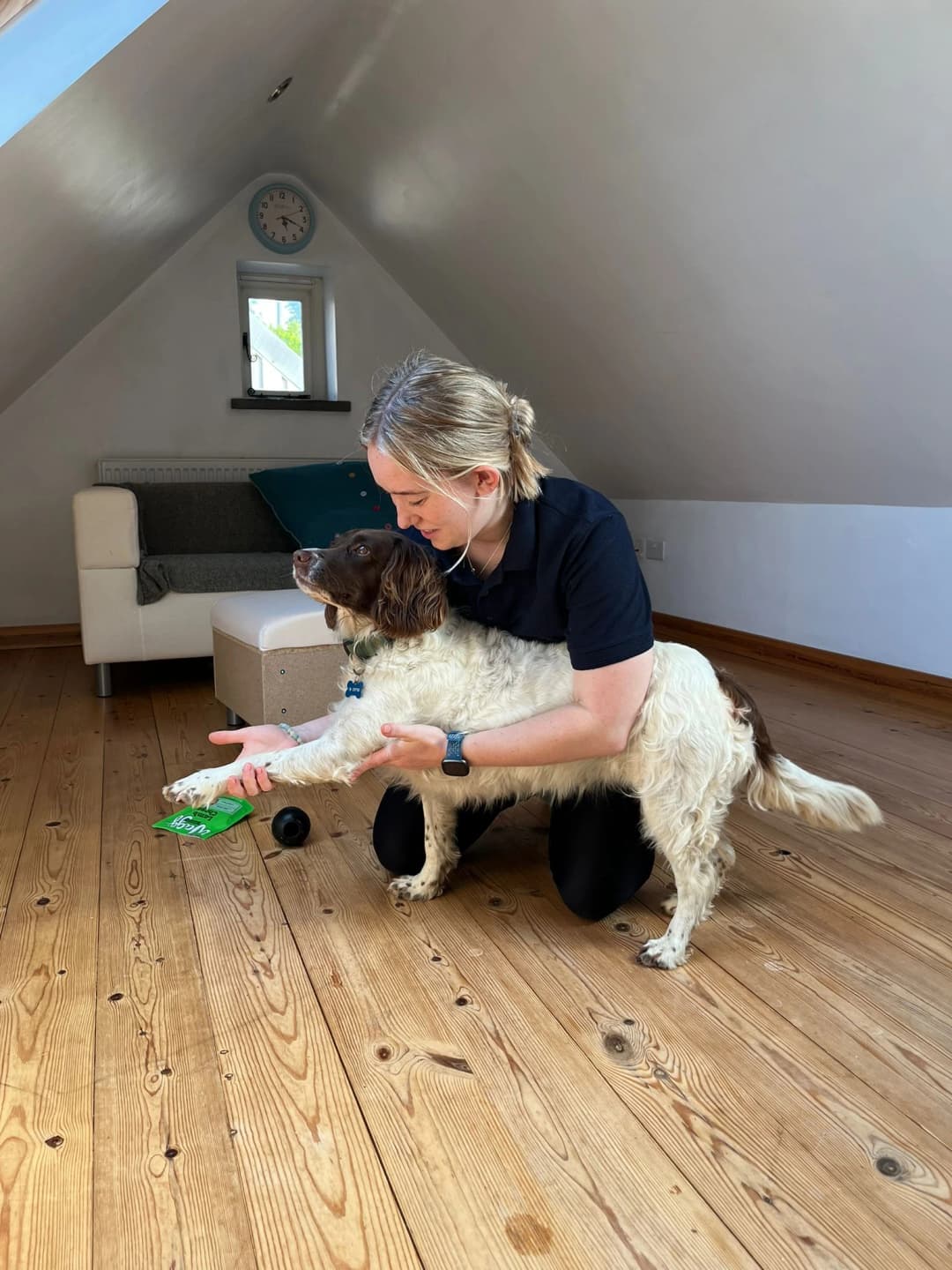 Common Conditions Treated In Veterinary Physiotherapy